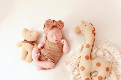 百色宝宝虾的做法 百色宝宝虾的做法